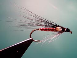 Ken Lockwood Streamer