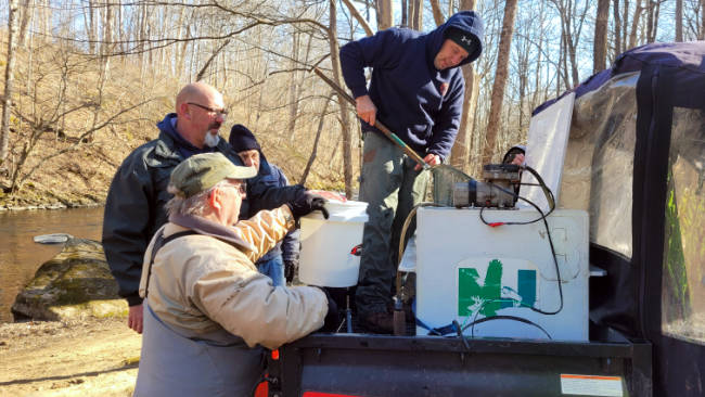 Point Mountain Stocking
